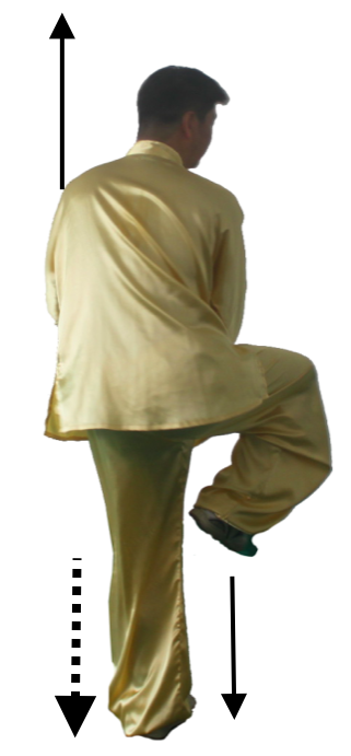 _images/tu112.png