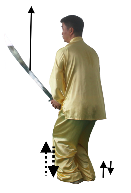 _images/tu117.png
