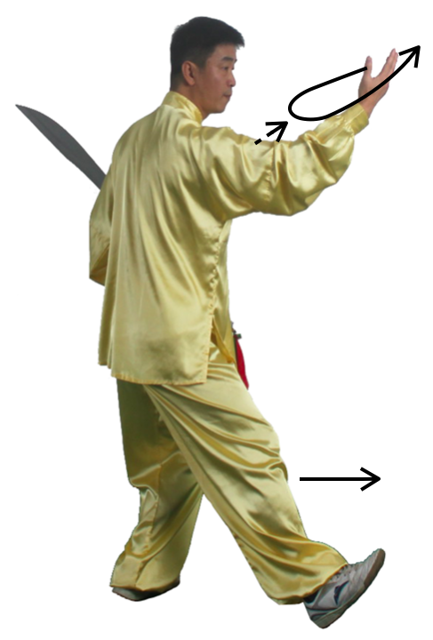 _images/tu15.png